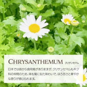 【暖色系詰め合わせ】エディブルフラワー・化学肥料/農薬不使用の安心して食べられるお花