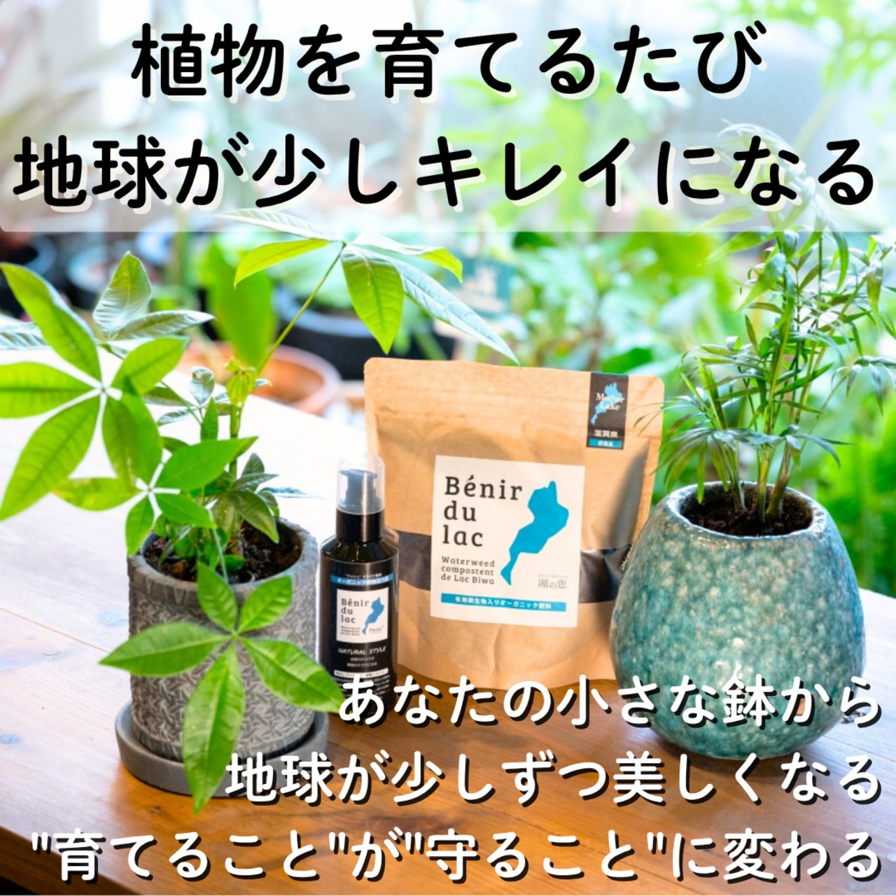 植物活力液 