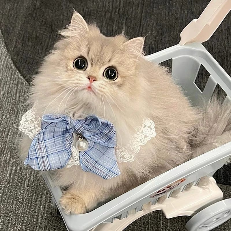 桃　リボン　猫　5個セット Mサイズ】ぽぽねこ リボン付き猫首輪 MUJIコットンプレーン セイフティ