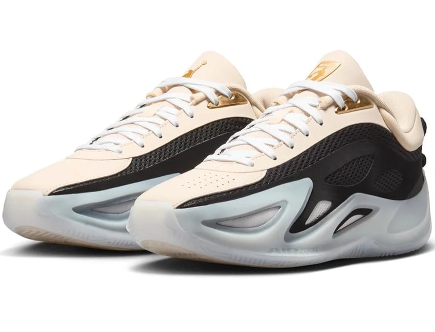 NIKE ナイキ レディース シューズ WMNS JORDAN HEIR SERIES 2 PF