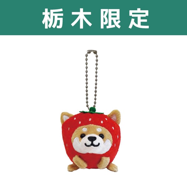 旅するマメしば【箱根】 ぬいぐるみボールチェーン 寄木ひみつ箱・海賊