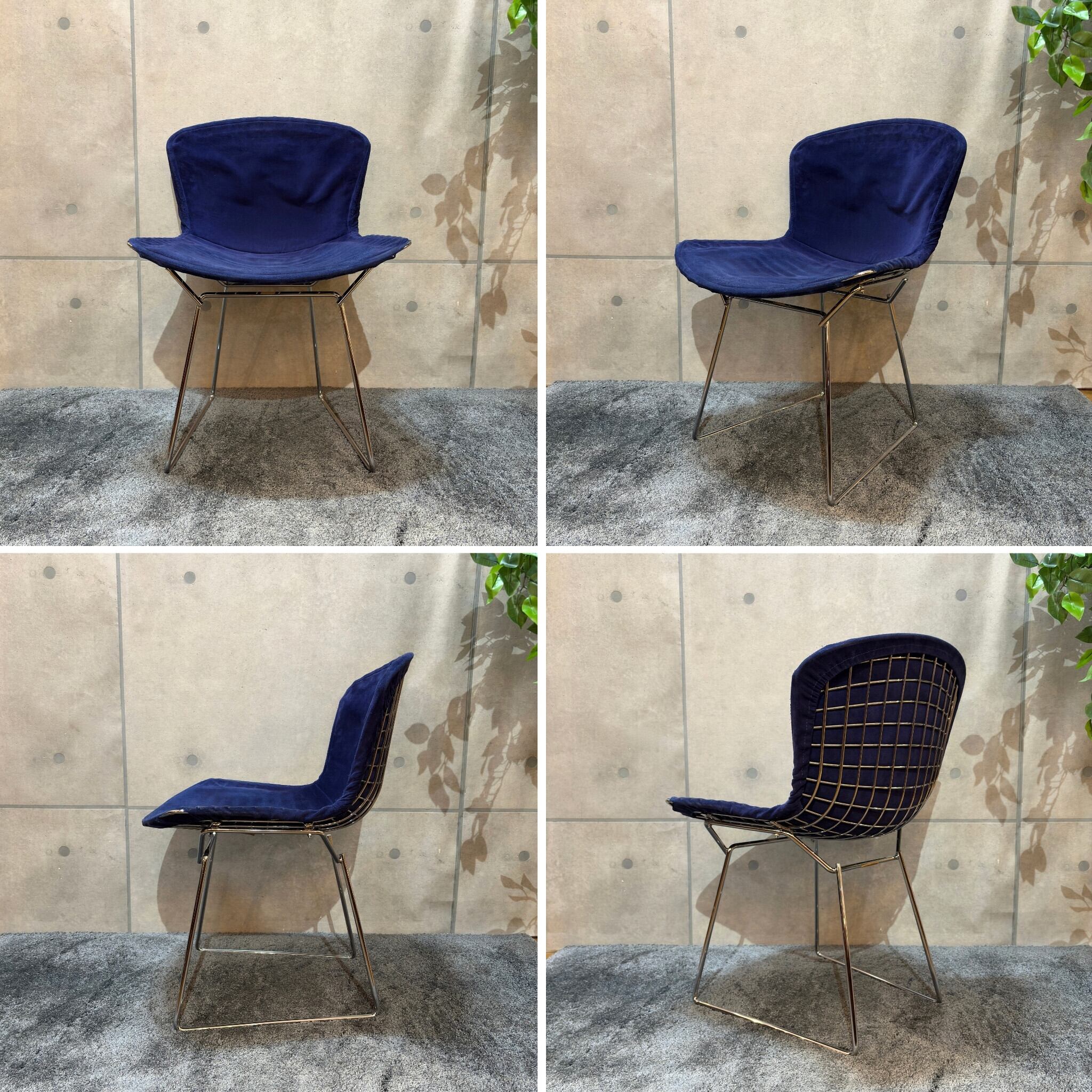 USED】Knoll ノール ハリー・ベルトイア サイドチェア Harry Bertoia