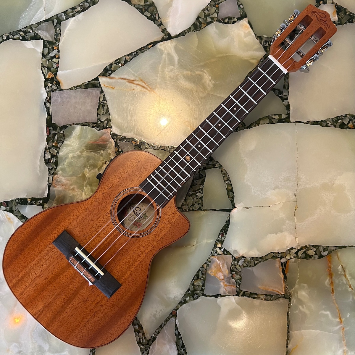 新品 調整済 Leho コンサートウクレレ LHUC-ASM-CE | UKULELE DARUMA