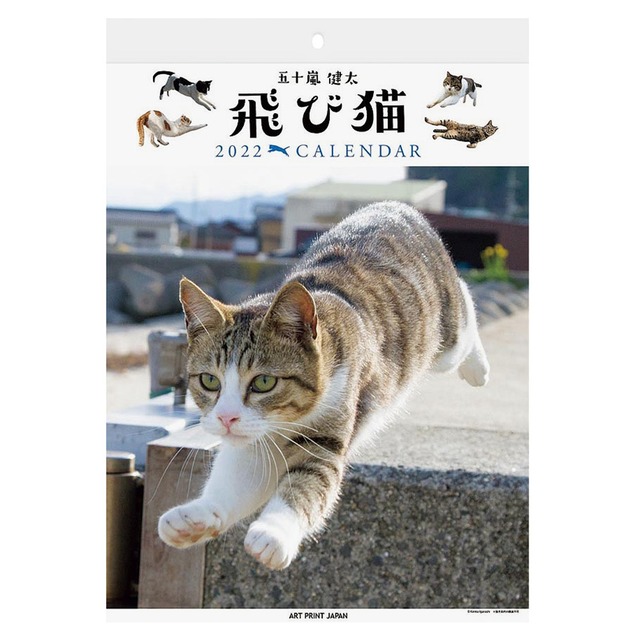 22飛び猫カレンダー 22年 にゃん めくりセット 送料無料 猫雑貨のお店 飛び猫商店