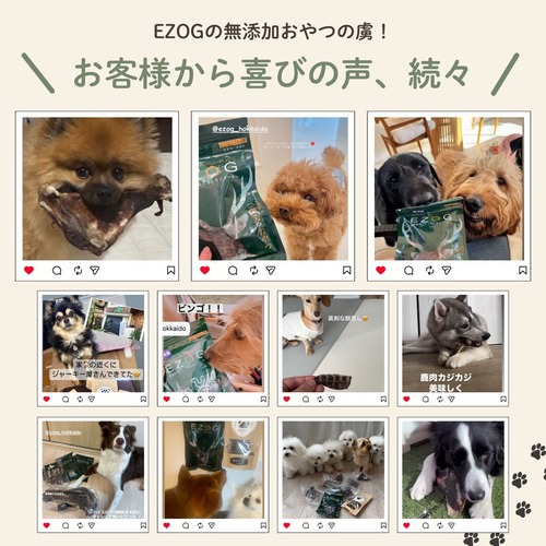 エゾ鹿もも ブロック 500g（ペット用・冷凍）