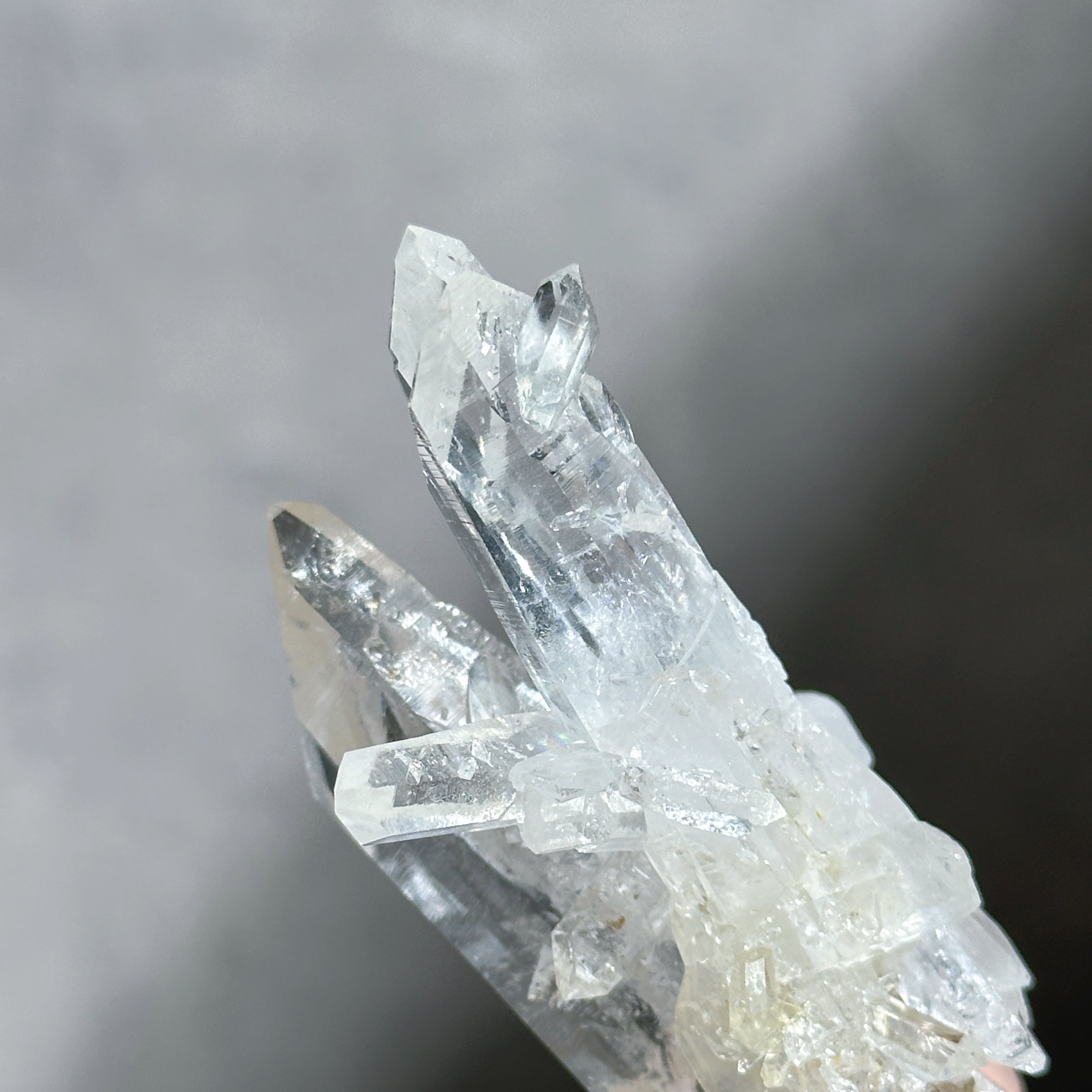 コロンビアンレムリアンクォーツ クラスター12◇Colombian Lemurian