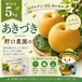 ⬛︎贈答用 あきづき5kg