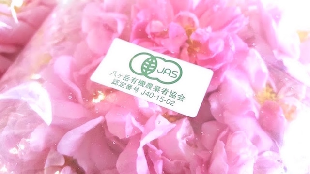 ローズシャンプー〈ローズ全身シャンプー〉500mlローズローション150mlプレゼント