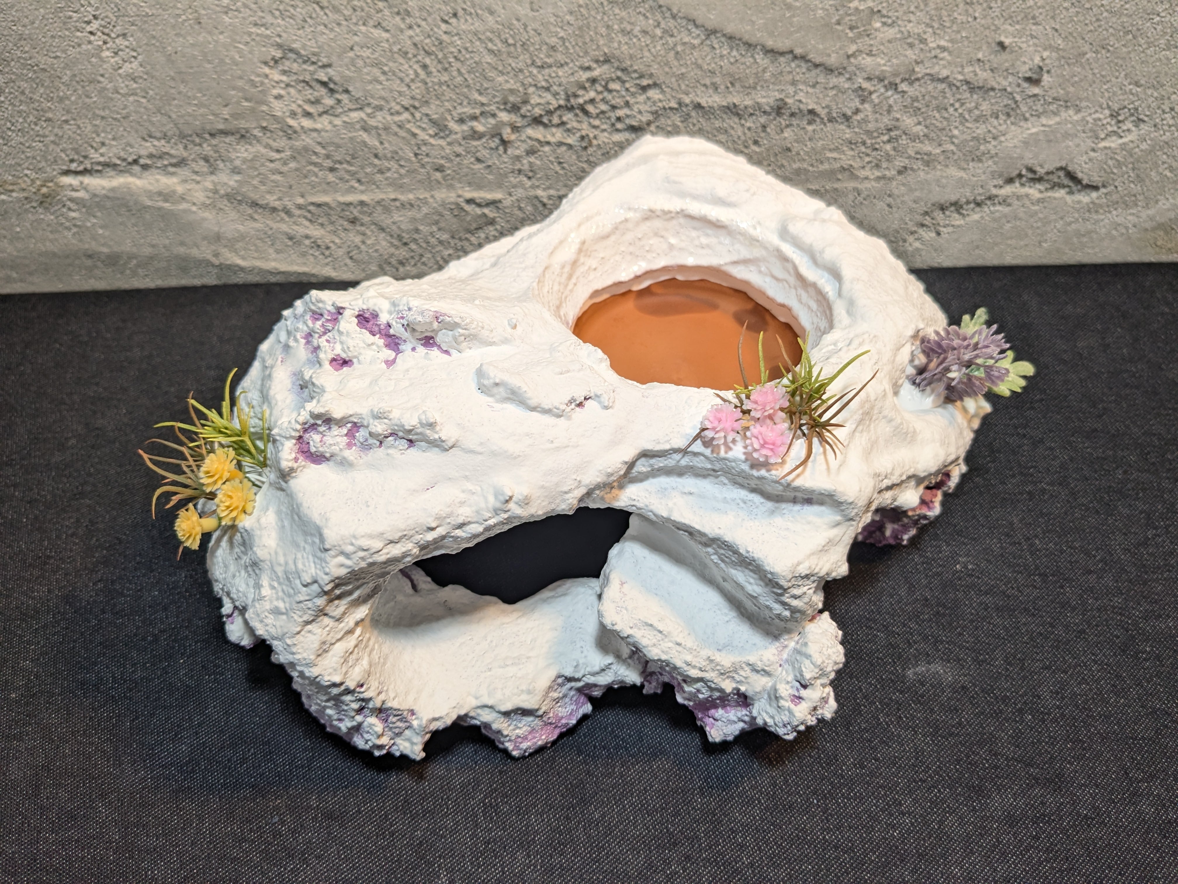 爬虫類用造形アート ともえ屋