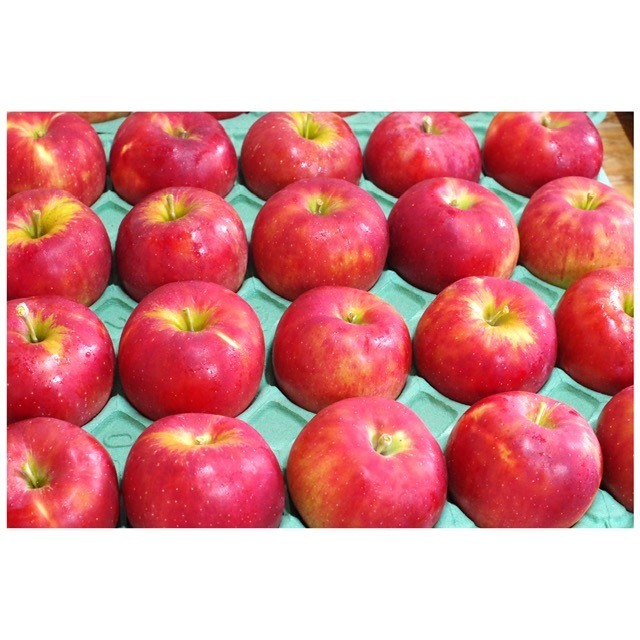 紅玉 ４.５ｋｇ