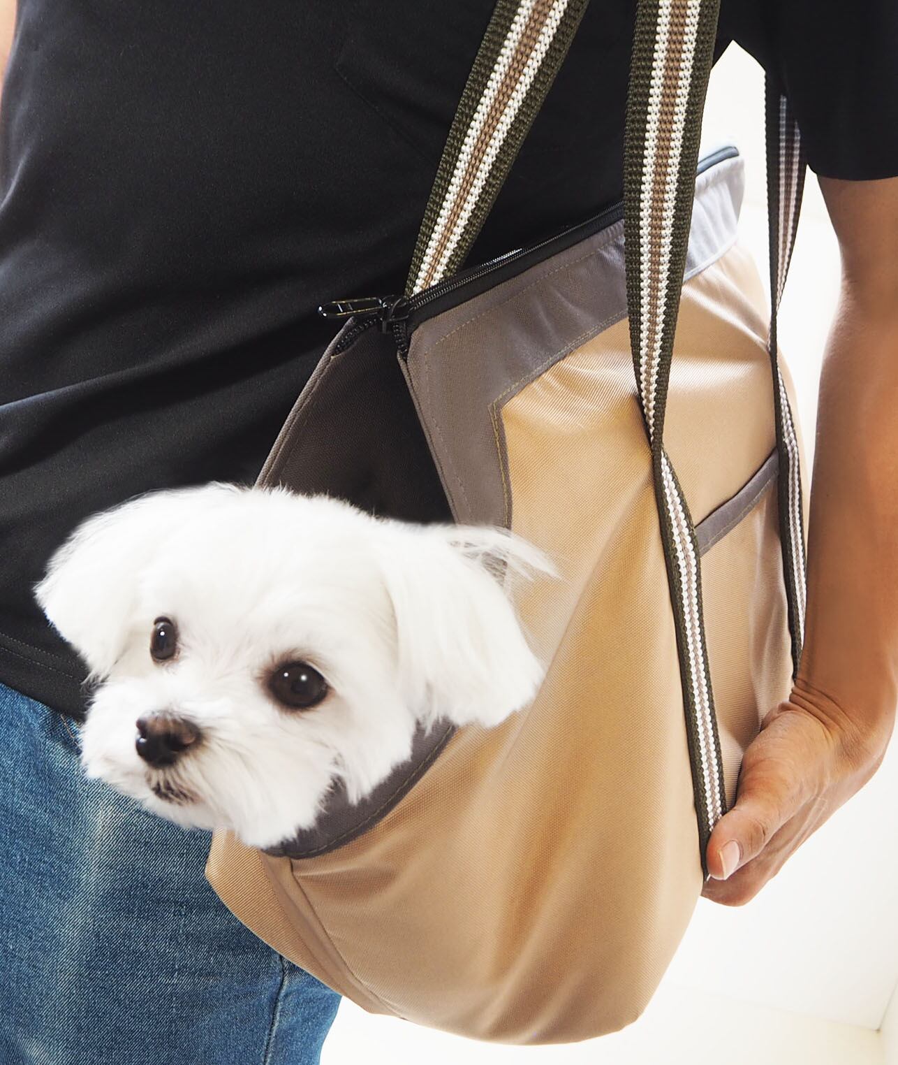 【キャリーバッグ】おさんぽキャリーバッグ