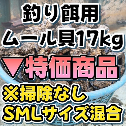 【特価：付着物有り】■1箱：17kg入り【釣り餌用 ムール貝】（無選別/サイズ混合/掃除なし）