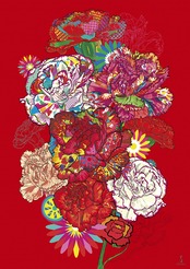 花シリーズ　カーネーション