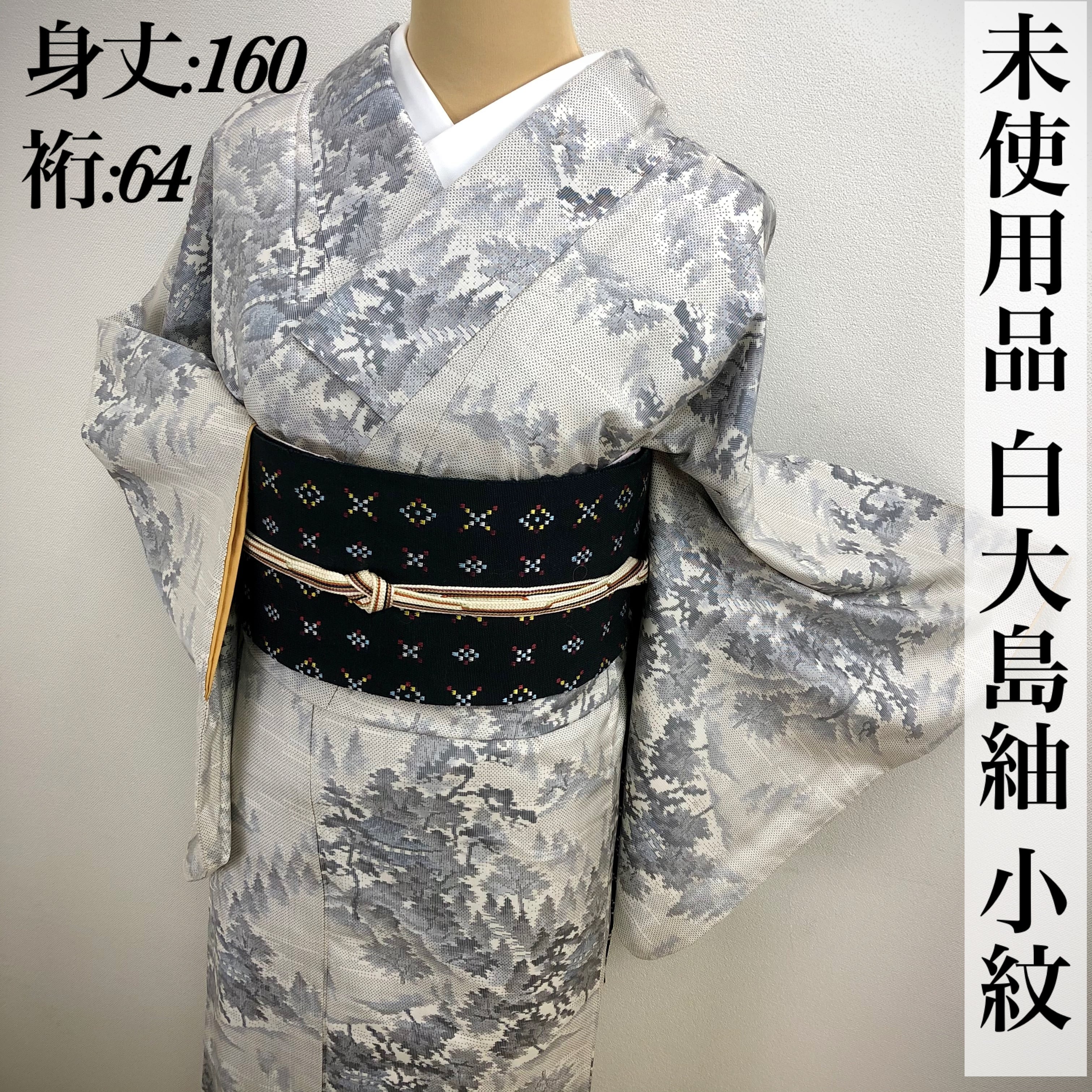 210mt50◇逸品！恵大島紬織物 本場大島紬 白恵色泥 白大島 単衣◇未使用品m極上の逸品