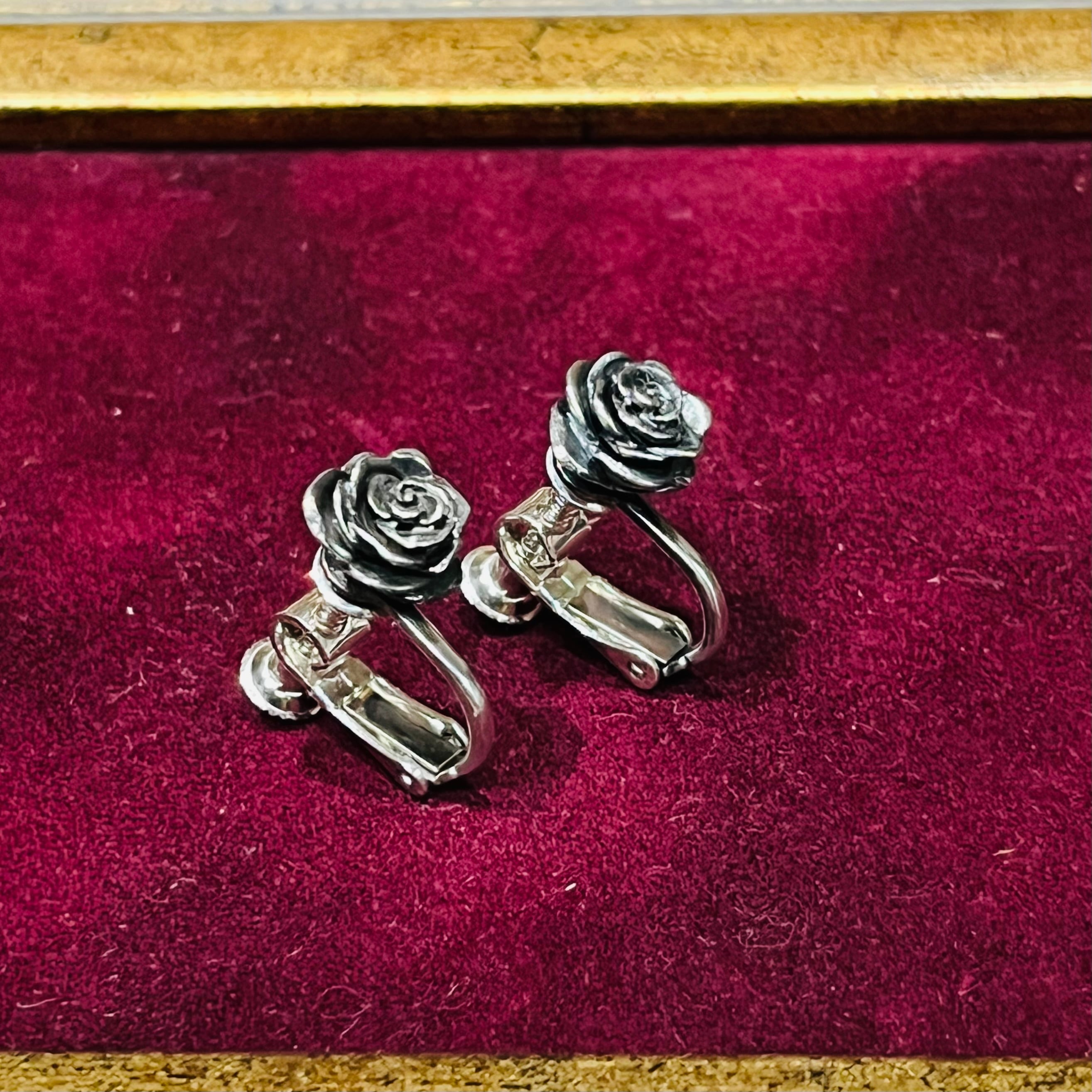 683】イチゴの指輪／薔薇のケース 【公式通販】