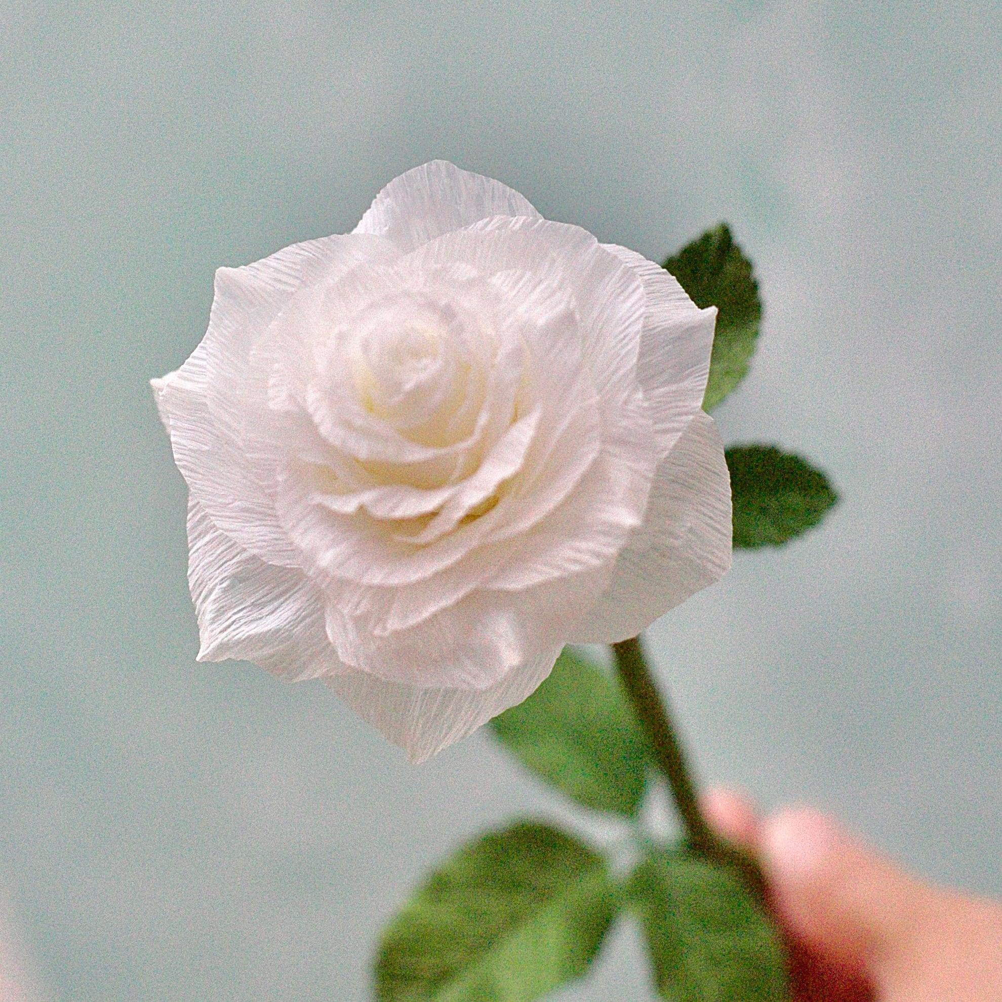 ペーパーフラワー 白い薔薇 | アイナフAinaf｜手作りのお花｜フラワー