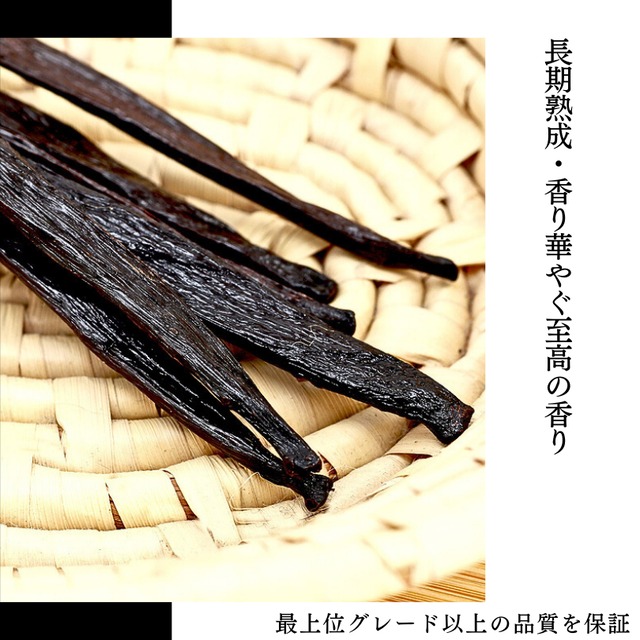 【本数多いほど1本価格がお得！】【ブルボン種・最上位グレード・18-20cm以上・バニラビーンズ・30本】