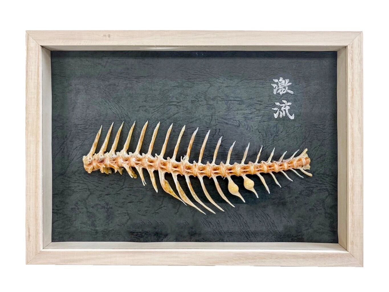 骨董品　工芸品　天然石 那智黒石 C パワーストーン 天然石 水晶 力石 骨董品 八咫烏