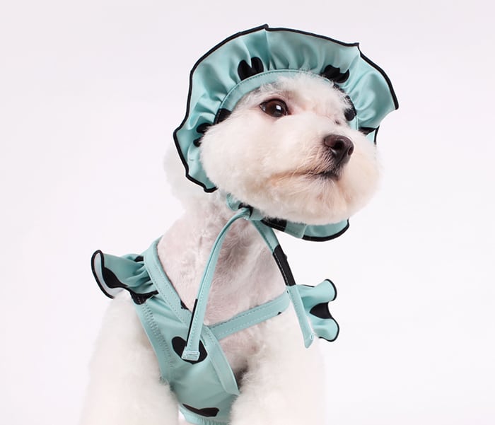 ハートビーチウェア S ~ XL 2color  /  犬服 夏 犬 ビキニ ドッグウェア 可愛い 犬の服 ペット ラッシュガード