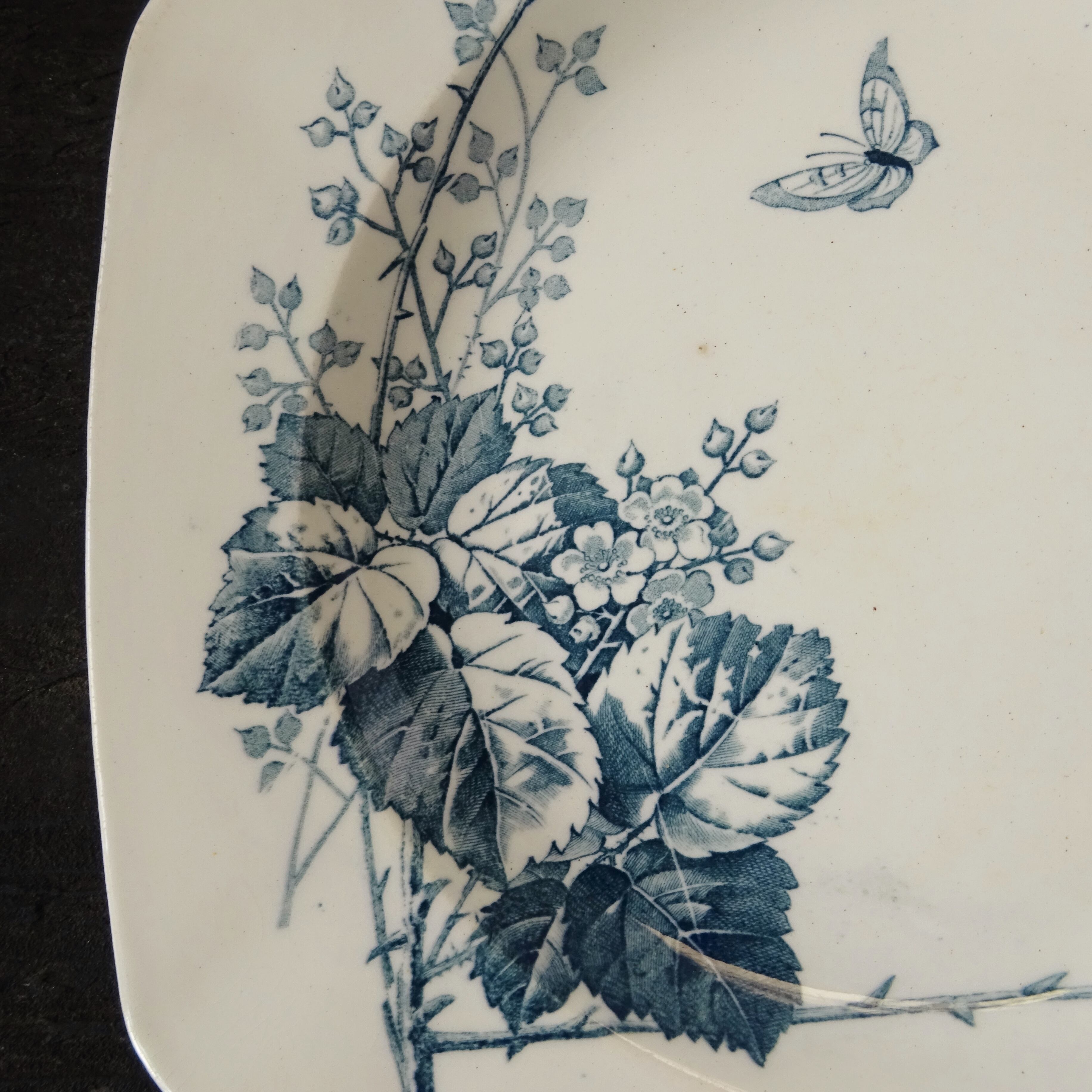 【 Épuisé 】KG Lunéville  modèle《RONCE》Assiette creuse