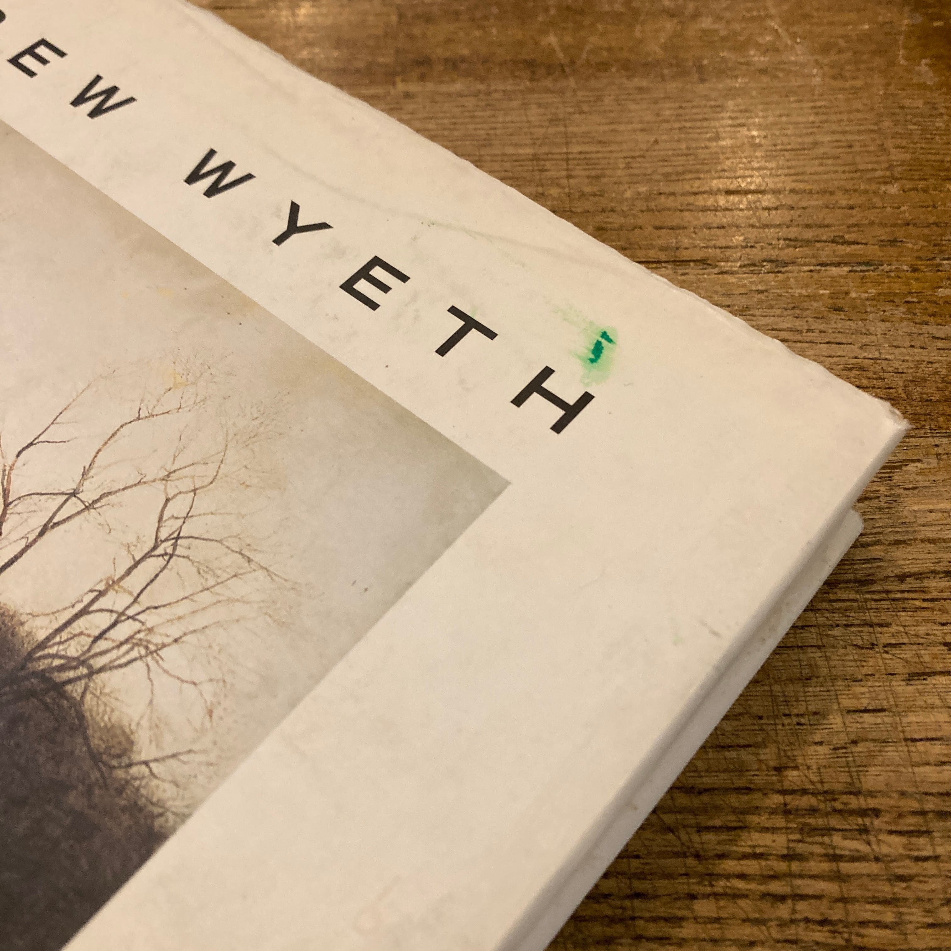 Andrew Wyeth: Landschaften | 百年