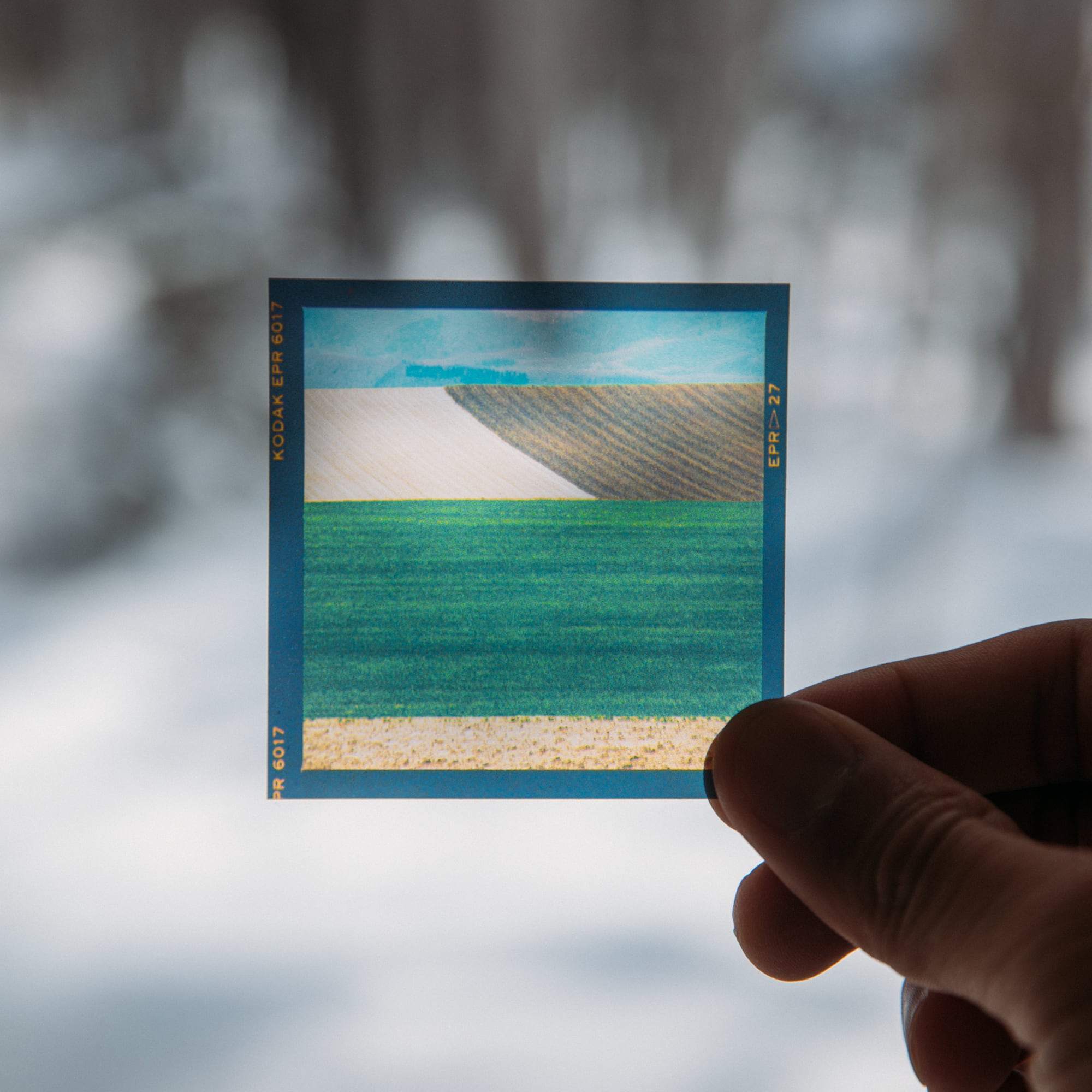 6×6フィルムステッカーA〈6枚セット〉 | 拓真館 TAKUSHINKAN