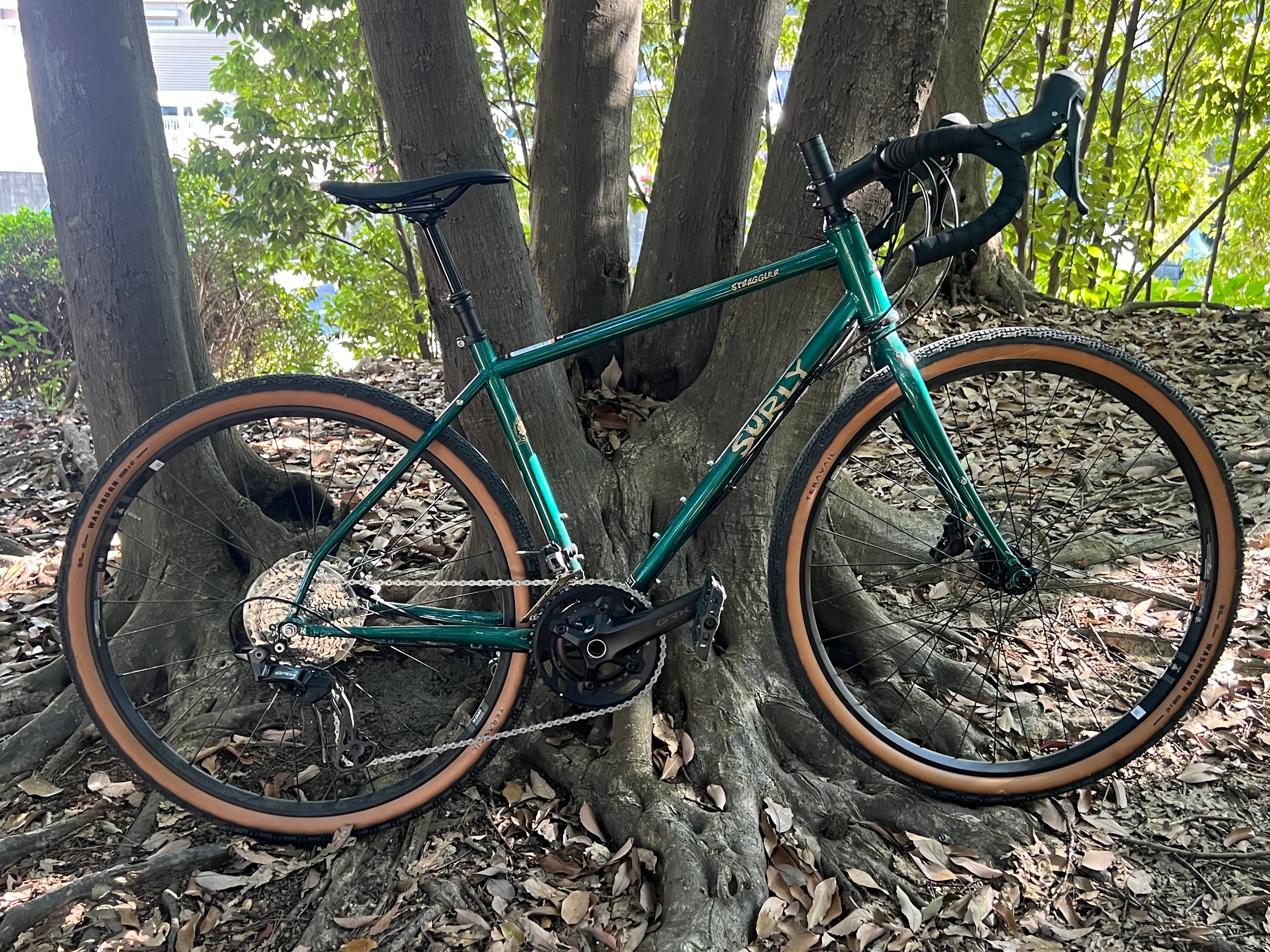 SURLY サーリー / Straggler ストラグラー Subtropic Algae フレーム