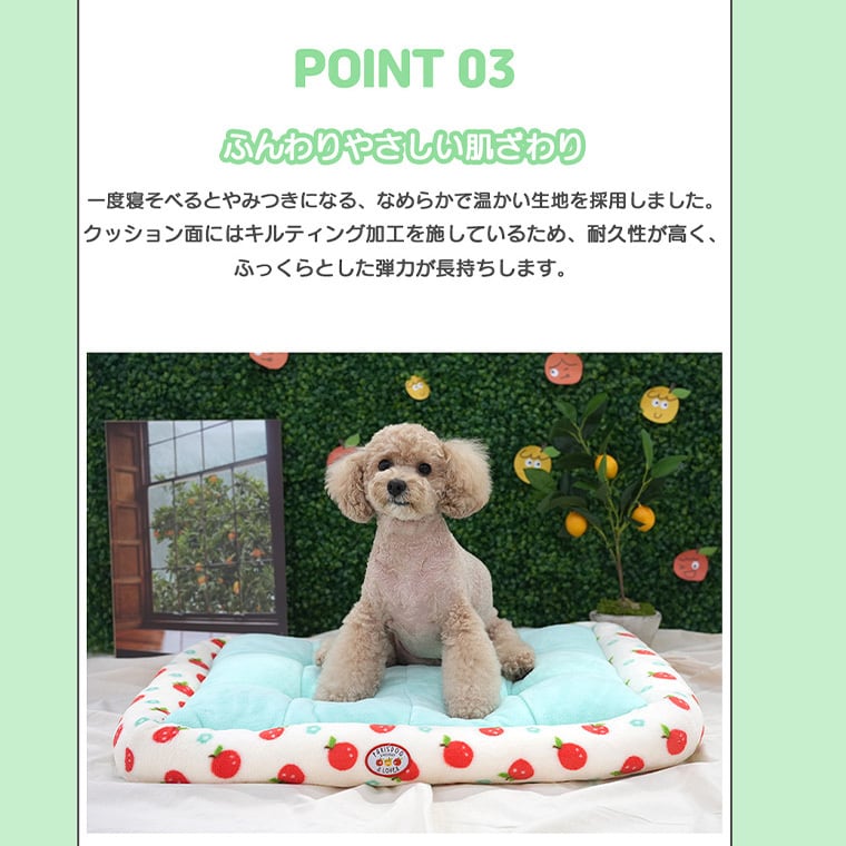 tangerine bed L size / 犬用 ベッド スクエア Lサイズ ふんわり 冬 クッション 滑り止め 韓国 ペットベッド 大型犬 中型犬 犬 ハウス 柔らか ふわふわ ソファー ボア もこもこ可愛い