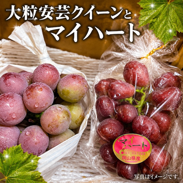 岡山県産贈答用ナガノパープルとB品シャインのセット | huwanouen