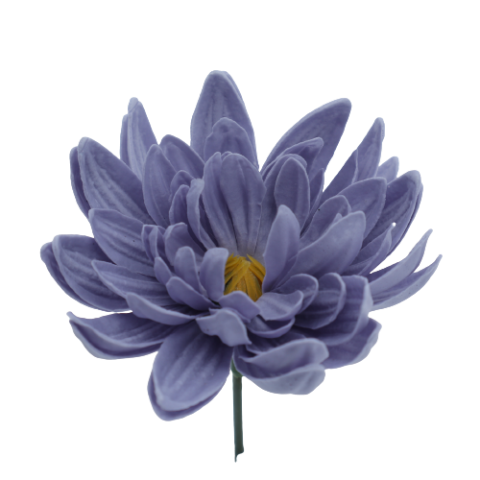 ダリアD-BL2 チャコールブルー (15輪入りor25輪入り)