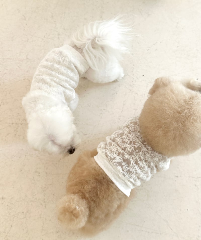 〈即納アイテム〉EYOU / レースベスト