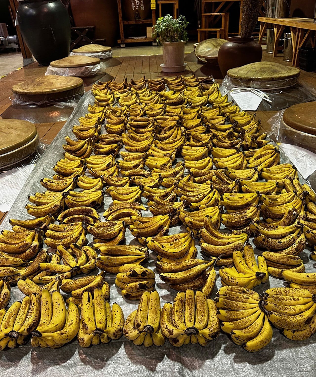 NAKATSU GIN（ 知多バナナ 3rd Batch ） | 中津川蒸留所 NAKATSU