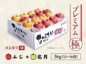 プレミアム　SB　ふじ・名月　５ｋｇ