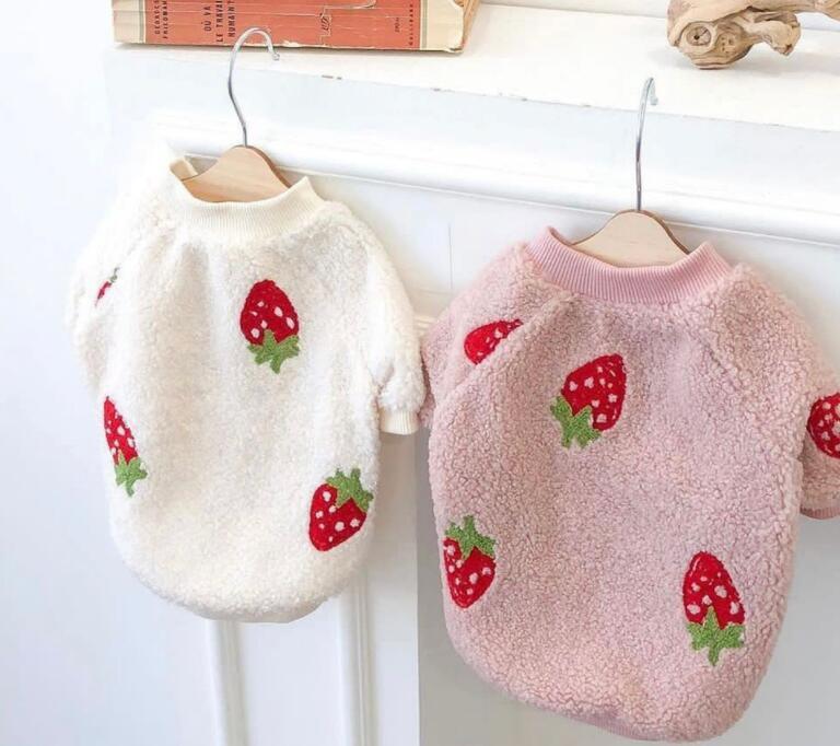 《予約》№1101875 ストロベリーボアトップス