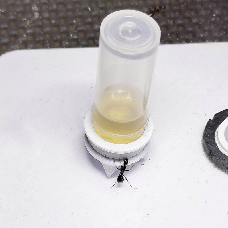 リネン　ポジャギ　工房蟻 a+koloni（コロニー）＊リネンヘンリースリーブレスワンピース(3色