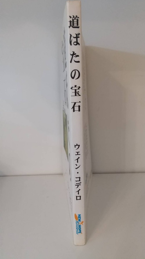 道ばたの宝石の商品画像2