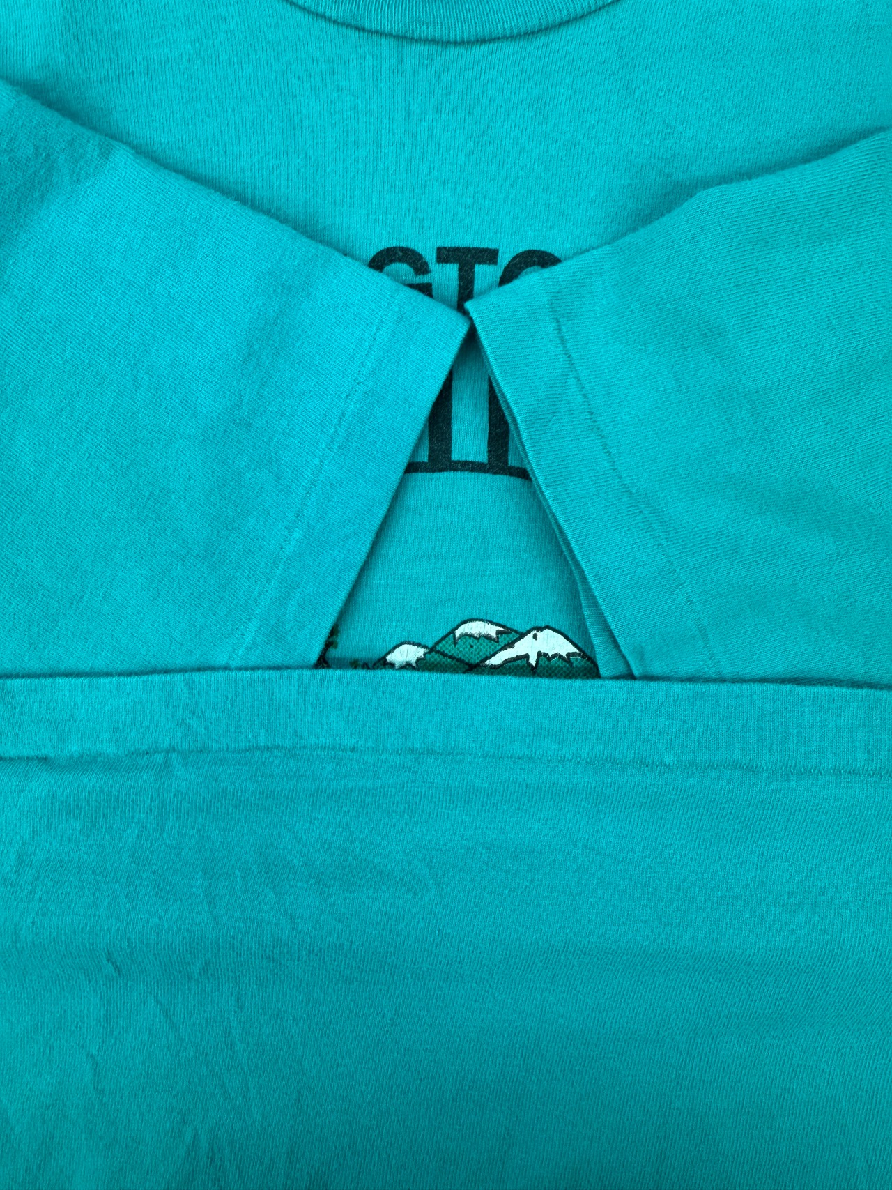 90s アメリカ合衆国内務省土地管理局 Hanes made in usa・画像4