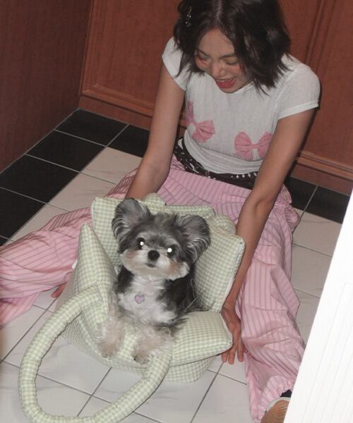 【SSFW】メロウバッグ グロッシー ホワイト 超美品 SSFW】メロウバッグ グロッシー ホワイト | ペット用の食品・用品・衣類