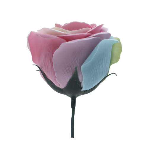 レインボーバラR-1 パステル(9輪）