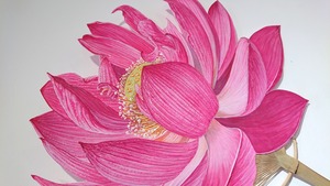 うちわ01（2022） / 小松 順子　Komatu Jyunko