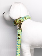 Collar&Leash set(Lima)