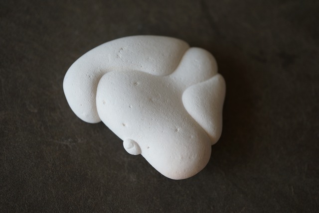 メニライトオパール Menilite Opal 1351