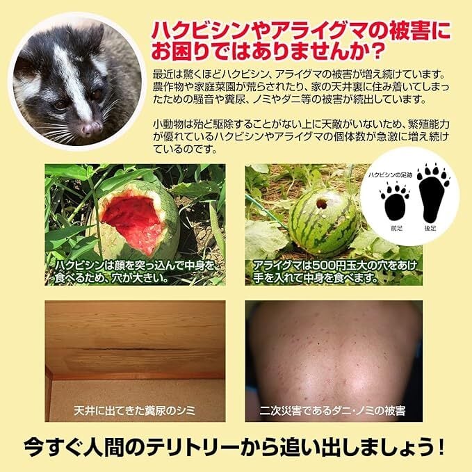 撃退アライグマ強力タイプ100個入 忌避剤をさらに２倍に増量した激臭シート 撃退アライグマ強力タイプ100個入 忌避剤をさらに2倍に増量した激臭シート