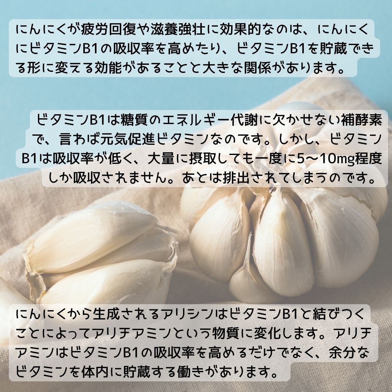 醗酵にんにく200%！！！通のための醗酵ニンニク白菜キムチ（350g×1個）　崔(チェ)さんのキムチ