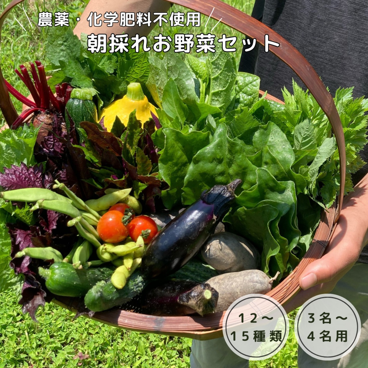 旬を楽しむおまかせお野菜セット 13-15種類 | TAGATAME