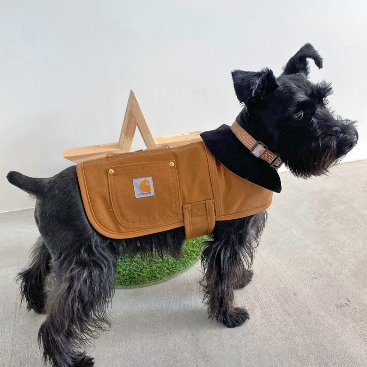 carhartt】DOGチョアコート ブラウン≪S～Lサイズ≫ | THE STOCK SHOP