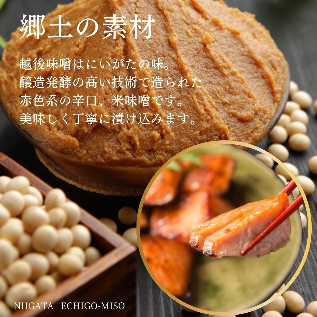 佐渡ゴールドサーモン越後味噌漬｜ 5切 冷凍 化粧箱入り | 料亭かも川