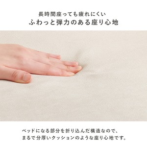 【レビュー特典付き】完成品 ソファベッド 3色展開 クッション付き コンパクトサイズ ローソファ ソファー ロータイプ 幅85cm