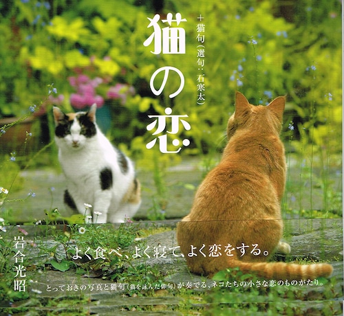 猫の恋（写真集）（帯付き）