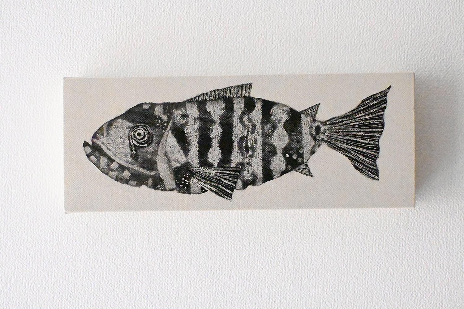 金子潤/JUN KANEKO | diginner online shop